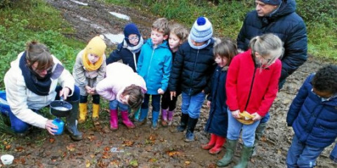 LANNION - Les écoliers de Jeanne-d’Arc sur la piste d’animaux sauvages