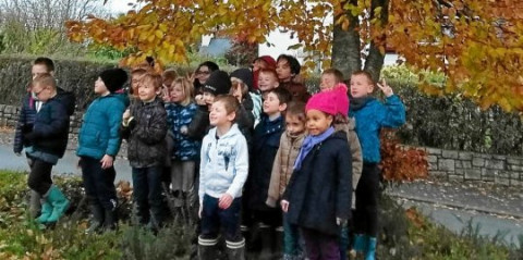 ROSTRENEN - Les élèves de l’école Notre-Dame se penchent sur la biodiversité