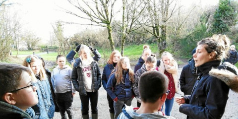 LANDIVISIAU - Une sortie en forêt pour les collégiens de Saint-Joseph