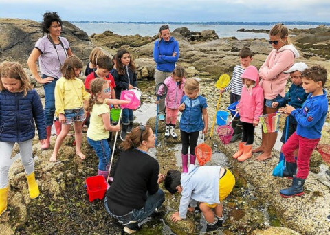 CONCARNEAU - Dernière sortie en bord de mer pour les enfants du Sacré-Cœur