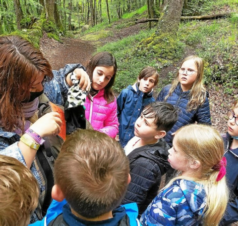 ROSTRENEN - Parcours sensoriel dans les gorges du Korong pour les élèves de Notre-Dame