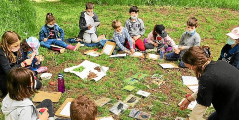 GUINGAMP - La vie des insectes n’a plus de secret pour ces élèves