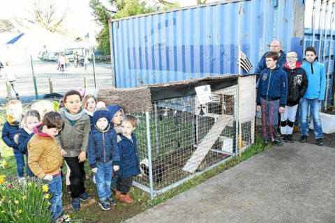 QUESTEMBERT - Les élèves ont inauguré leur nouveau poulailler à l’école Notre-Dame